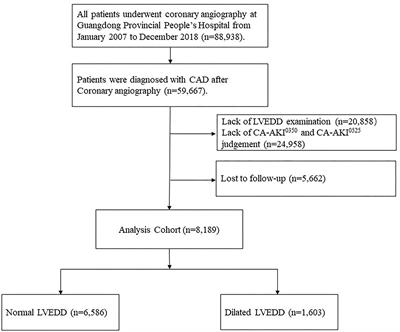 Dilated Left Ventricular End-Diastolic Diameter Is a New Risk Factor of Acute Kidney Injury Following Coronary Angiography